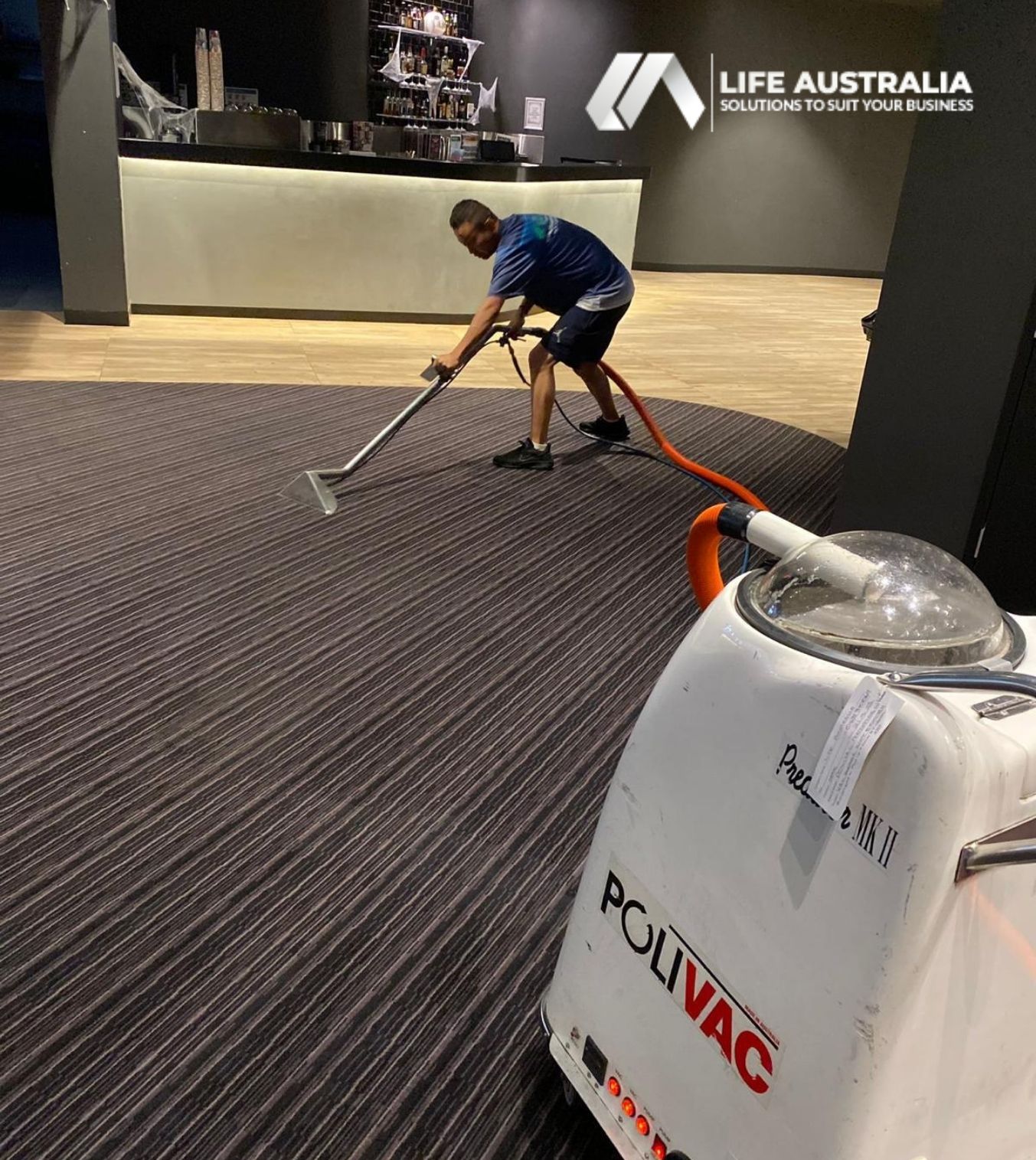 Carpet Steam Cleaning