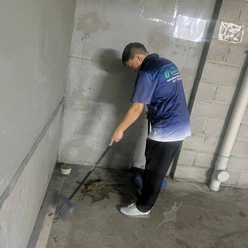 cleaning-services-near-me-img01